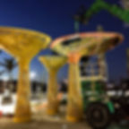 landscape_canopy