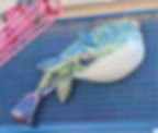 YL_FRPSculptureBlowfish01