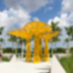 landscape_canopy